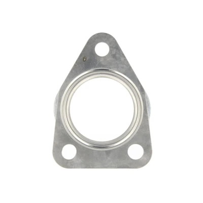 Abbildung von REINZ 71 42072 00 Dichtung, Abgasrohr LANCIA: DELTA 3, ALFA ROMEO: Giulietta Hatchback, 159 Sportwagon, FIAT: Ducato III Platform / Chassis