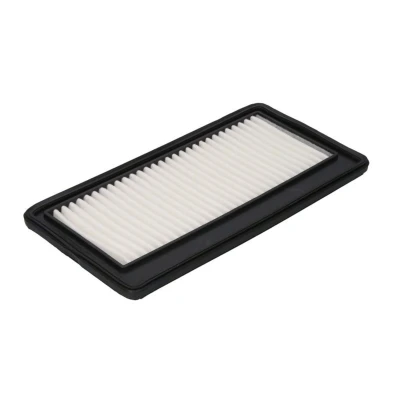 Abbildung von Luftfilter FILTRON AP177/2