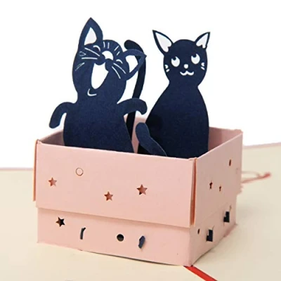Abbildung von Favour Pop Up® 3D Glückwunschkarte zum Geburtstag mit fröhlichen dreidimensionalen Katzenmotiven TB016