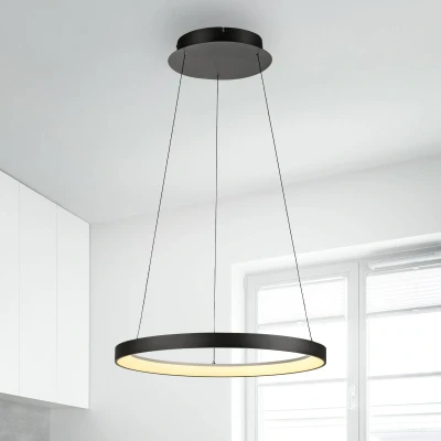 Abbildung von Paul Neuhaus Pendelleuchte »HOOP«, 1 flammig, Leuchtmittel LED Board fest integriert, LED, dimmbar, Simply Dim, Memory, nach Trennung vom Netz, Comfort Lift