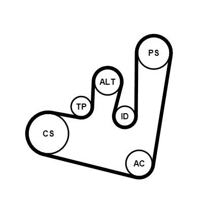 Abbildung von CONTITECH 6PK1660K1 Keilrippenriemensatz VOLKSWAGEN: Golf 4, Bora Saloon, 4 Variant, SKODA: Octavia 1 Combi, I Hatchback