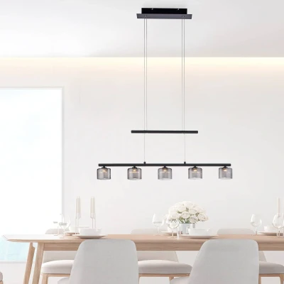 Abbildung von Paul Neuhaus Pendelleuchte »HYDRA«, 5 flammig, Leuchtmittel LED Board fest integriert,