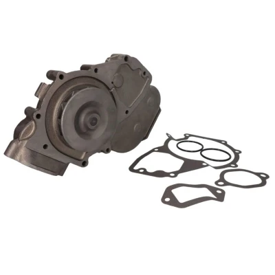 Abbildung von DOLZ M658 Wasserpumpe