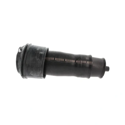 Abbildung von CORTECO 49430542 Luftfeder, Fahrwerk Hinterachse FIAT: Scudo II