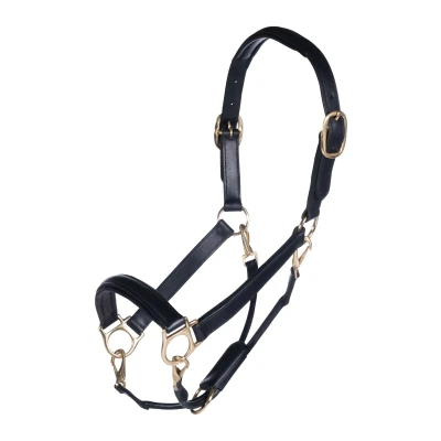 Abbildung von HKM FW&#039;22 Leather Halter Gold
