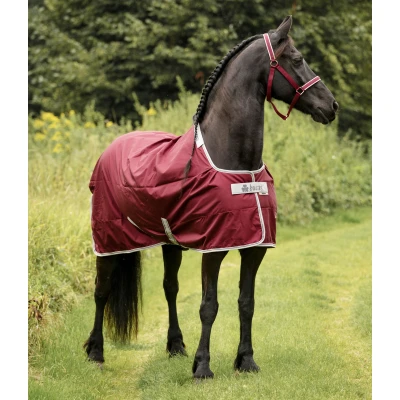 Abbildung von Bucas Atlantic Light Exclusive Wine 155/208