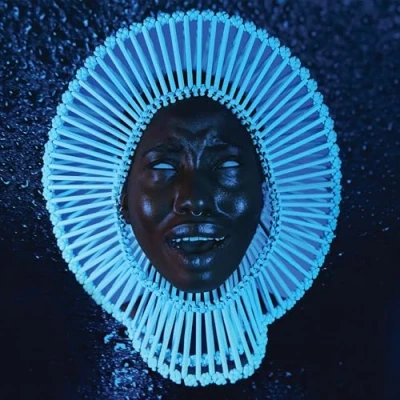 Abbildung von Awaken, My Love! [Vinyl LP]