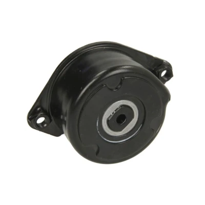 Abbildung von INA 534 0171 10 Spannarm, Keilrippenriemen BMW: 3 Touring, Saloon