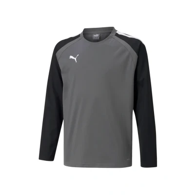 Abbildung von Puma Langarmshirt für Kinder, Größe: 128, Grey, black