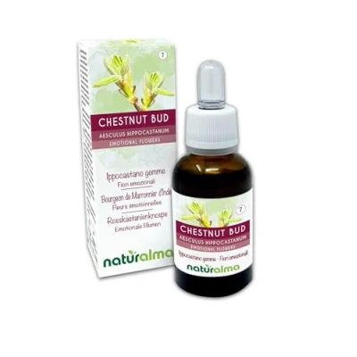 Abbildung von Chestnut bud oder Rosskastanienknospe (Aesculus hippocastanum) Bach Blüten Naturalma Tropfen 30 ml Alkoholfreier Flüssigextrakt Blütenessenzen Vegan und alkoholfrei