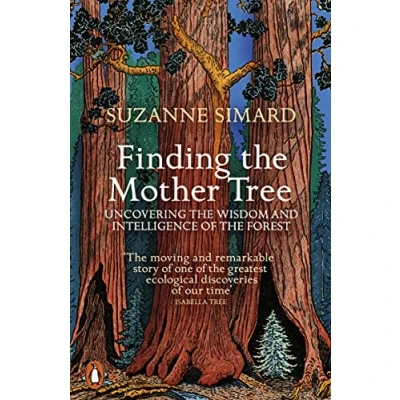 Abbildung von Finding the Mother Tree: Uncovering Wisdom and Intelligence of Forest