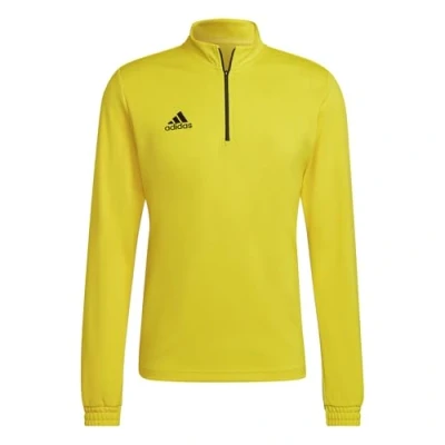 Abbildung von adidas Mens Sweatshirt (Long Sleeve) Ent22 Tr Top, Team Yellow/Black, HI2128, XLT