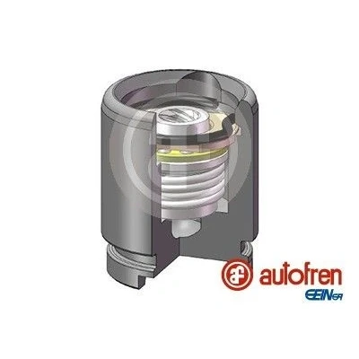 Abbildung von AUTOFREN SEINSA D025258K Kolben, Bremssattel 30 Hinterachse BENDIX