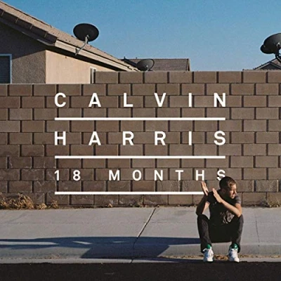 Abbildung von 18 Months [Vinyl LP]