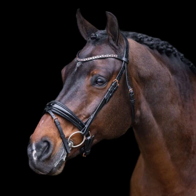 Abbildung von Imperial Riding FW&#039;23 Bridle Olympia