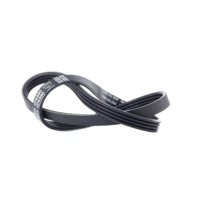 Abbildung von Keilrippenriemen DAYCO 4PK890