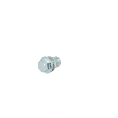 Abbildung von CORTECO 49362597 Ölablaßschraube M14 x 1,5 19 mit Dichtring SUZUKI: SX4 I Hatchback, Splash