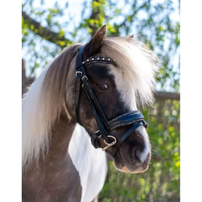 Abbildung von HB Zaum Rocky Glitzer/Schwarz A Pony Agradi.deVerkauft von Agradi