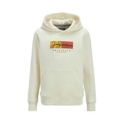 Abbildung von Jack &amp; Jones Junior Kapuzensweatshirt »JORFREDERIKSBERG BOX SCI SW.H SN UNB JNR«