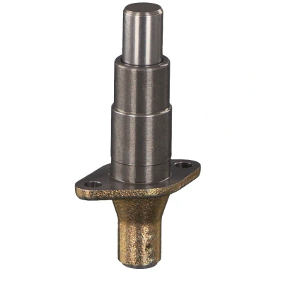 Abbildung von FEBI BILSTEIN 30548 Spanner, Steuerkette MERCEDES BENZ: B Class