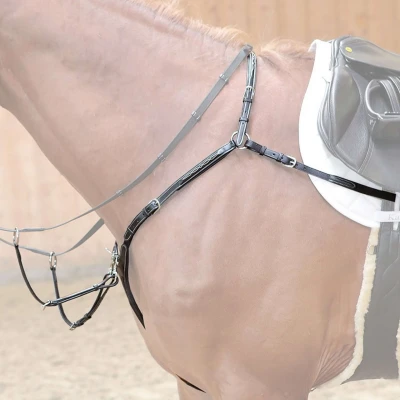Abbildung von Kavalkade Vorderzeug Diandro Schwarz Warmblut Agradi.deVerkauft von Agradi