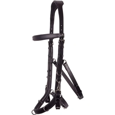 Abbildung von Harry&#039;s Horse Kapzaum Leder Anatomic Schwarz