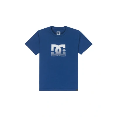 Abbildung von DC Shoes Tshirt print für Kinder, Größe: 152, Bsw estate blue