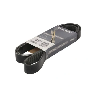 Abbildung von DAYCO 8PK1815HD Keilrippenriemen 1815,0 8