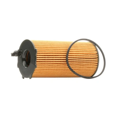 Abbildung von BOSCH F 026 407 207 Ölfilter mit Dichtung Filtereinsatz JEEP: WRANGLER 3, Cherokee IV, DODGE: Nitro Off Road
