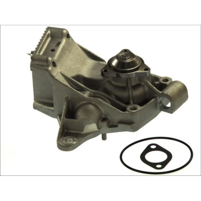 Abbildung von THERMOTEC D1R042TT Wasserpumpe mit Dichtung mechanisch RENAULT: MASTER 2 Bus