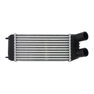 Abbildung von THERMOTEC DAP006TT Ladeluftkühler FIAT: Scudo II, II Van, PEUGEOT: Expert Van