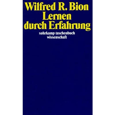 Abbildung von Lernen durch Erfahrung: Übertr. u. eingel. v. Erika Krejci (suhrkamp taschenbuch wissenschaft)