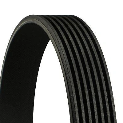 Abbildung von CONTITECH 7PK1038 ELAST Keilrippenriemen 1038mm 7 DACIA: Duster Off Road, II, Lodgy