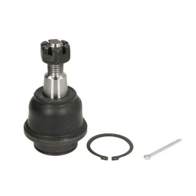 Abbildung von REINHOCH RH03 4025 Traggelenk beidseitig, unten, Vorderachse FORD: Ranger Mk3