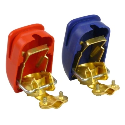 Abbildung von CARPOINT 1237803 Batteriepolklemme Messing, Stahl Rot, Blau