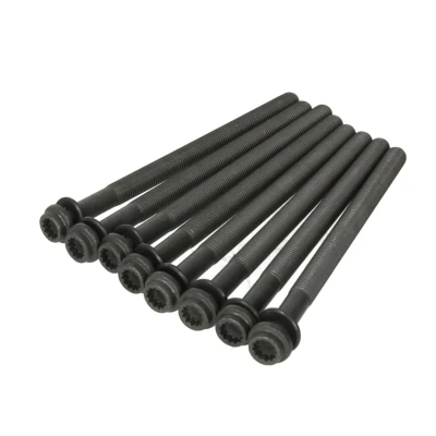 Abbildung von REINZ 14 32324 01 Zylinderkopfschraubensatz Innenvielzahn AUDI: A5 B8 Coupe, A6 C7 Avant, A4 VOLKSWAGEN: Amarok Pickup