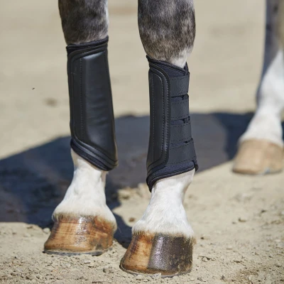 Abbildung von Weatherbeeta Beinschutz Prime Schwarz Pony