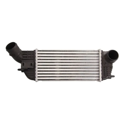 Abbildung von THERMOTEC DAP005TT Ladeluftkühler 299 x 155 81 mm CITROËN: C5 III Estate, PEUGEOT: 407 Saloon