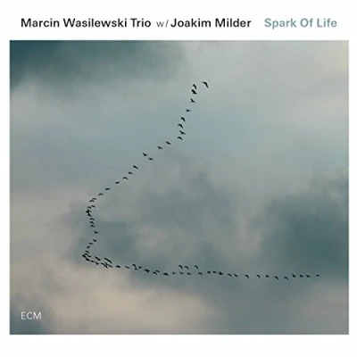 Abbildung von Spark of Life
