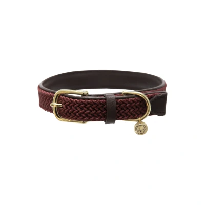 Abbildung von Kentucky Kragen Plaited Nylon Bordeaux XXS