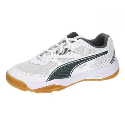 Abbildung von PUMA Jungen Unisex Kinder Solarflash Jr Ii Indoor Court Shoe, White Shadow Gray Gum, 28 EU