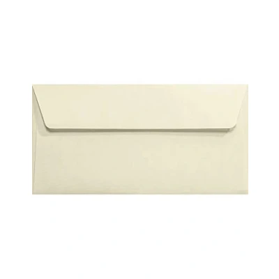 Abbildung von Netuno 25 Ecru DIN Lang Briefkuverts gerippt 11 x 22 cm 120g Aster Laid Ivory elegante Briefumschläge DL haftklebend ohne Fenster Briefhüllen Umschläge hochwertig für Grußkarten Einladungen