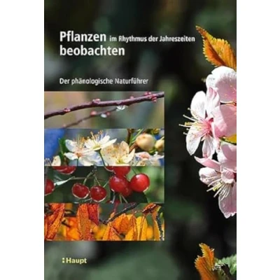 Abbildung von Pflanzen im Rhythmus Der Jahreszeiten beobachten: phänologische Naturführer