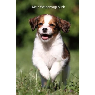 Abbildung von Mein Welpentagebuch: die ersten Monate mit meinem Kooikerhondje (Kooikerhondje alle Bücher: Trainingstagebuch, Krankenakte und Welpentagebuch, Band 3)