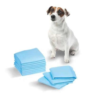 Abbildung von Green Blue GB495 Trainingsunterlagen Set Trainingspads für Hunde und Welpen 60x40cm Hygieneunterlage Welpenunterlage Einwegpad 6 lagig (50 Stück)