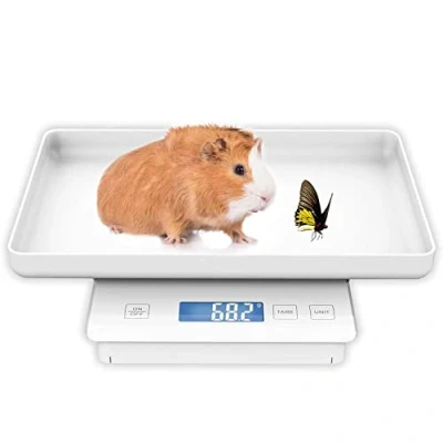 Abbildung von MINDPET MED 11lbs/0.1g Haustierwaage fur Kleintiere, Meerschweinchenwaage,hohe Prazision 0.003oz,geeinet fuiralleneugeborenen Haustiere, Katzchen, Schildkroten