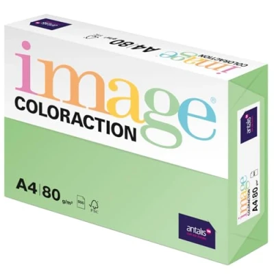 Abbildung von Image Coloraction Forest farbiges Kopierpapier DIN A4, 210 x 297 mm, 80 g/m² buntes, holzfreies Druckerpapier für Kopierer 500 Blatt Grün