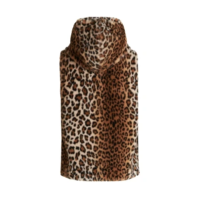 Abbildung von Betty Barclay PLÜSCH MIT Kapuze Weste, Damen, Größe: 36, Camel braun