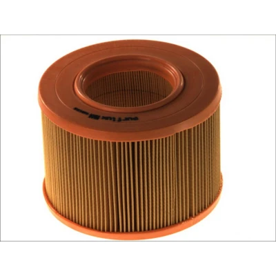Abbildung von PURFLUX A844 Luftfilter 129 172 Filtereinsatz RENAULT: 19 II Convertible, I Hatchback, MEGANE 1