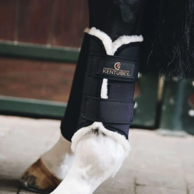 Abbildung von Kentucky Horsewear Turnout Boots Solimbra Hinterbeine Schwarz Warmblut